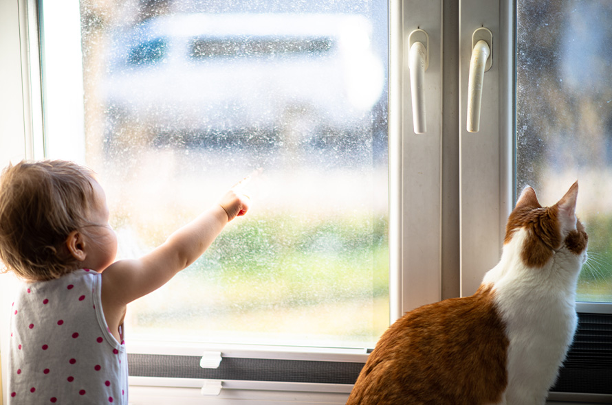 baby and cat looking out window together